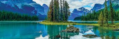 Canadian Rockies Nature Expedition