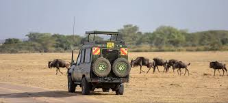Kenya Wildlife Safari Adventure